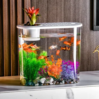 Пластиковый прозрачный чехол для ремня, овальный аквариум для выращивания растений и воды, аквариум с золотыми рыбками, небольшое украшение рабочего стола в гостиной, офисе.
